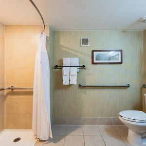 King Room Mobility Access or Roll Shower Non-Smoking